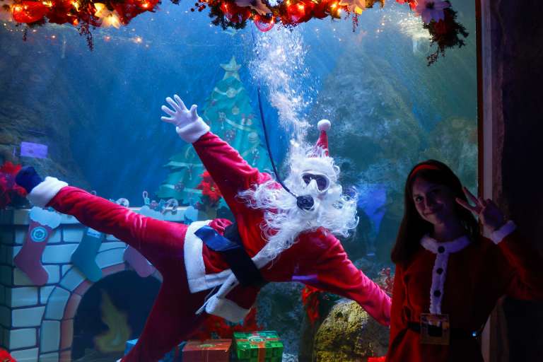 MEX1171. GUADALAJARA (MÉXICO), 12/12/2025.- Una persona vestida de Papá Noel bucea y posa en el Acuario del Zoológico Guadalajara este viernes, en Jalisco (México). EFE/ Francisco Guasco