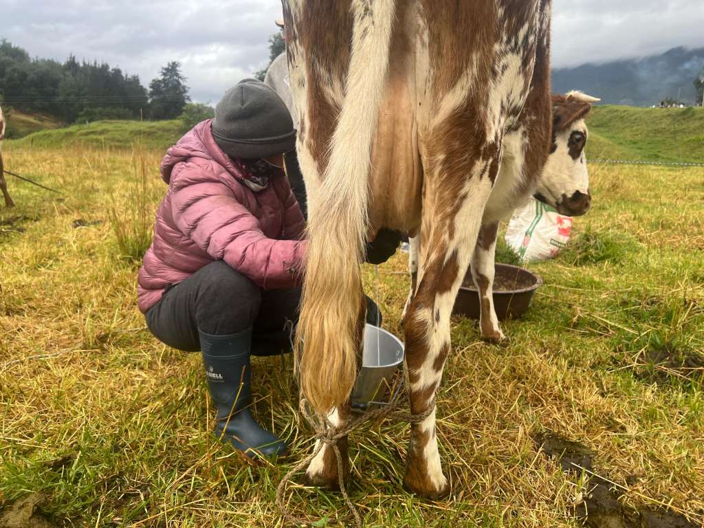 Cerinza, Boyacá