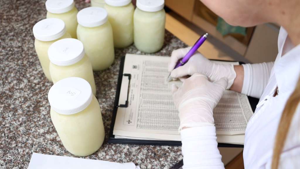 Toda la leche donada pasa por un proceso de control de calidad, por eso, no toda la leche que se dona se distribuye a los bebés que la necesitan.