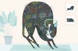 Pirotecnia, la pesadilla de las mascotas en diciembre