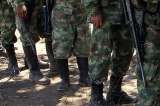 En marcha protocolos para salida de menores de las Farc: CICR