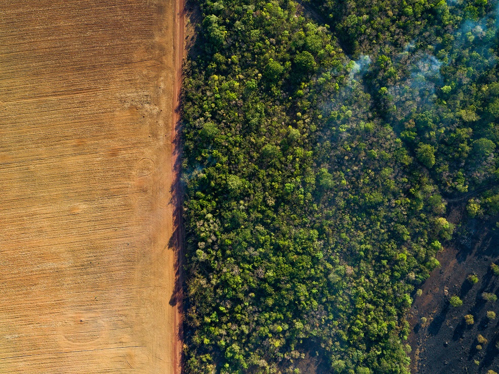 El Amazonas se está aproximando a su punto de no retorno.