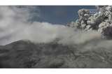 El sismo del 10 de agosto no tiene ninguna relación con la actividad del volcán Puracé: SGC