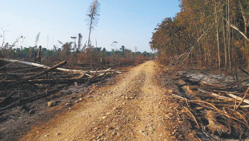 La deforestación también es debida a carreteras como la transversal de La Macarena y las vías informales que unen el río Guayabero, Ariari y Guejar. / PNN
