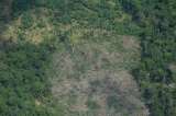 Esta es la Amazonia que hereda Abelardo de la Espriella: ¿qué desafíos le esperan?
