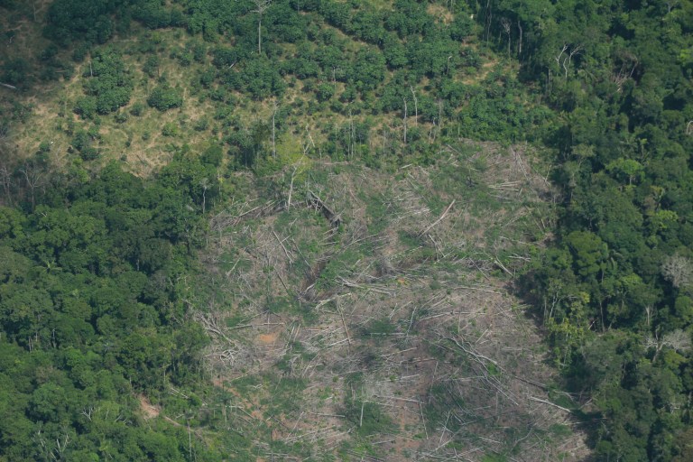 Esta es la Amazonia que hereda Abelardo de la Espriella: ¿qué desafíos le esperan?