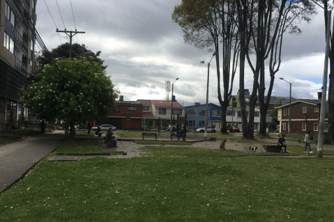 Realizan plantón en Normandía para evitar tala de árboles del Distrito