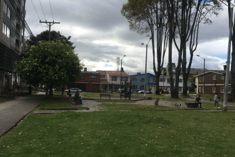 Realizan plantón en Normandía para evitar tala de árboles del Distrito