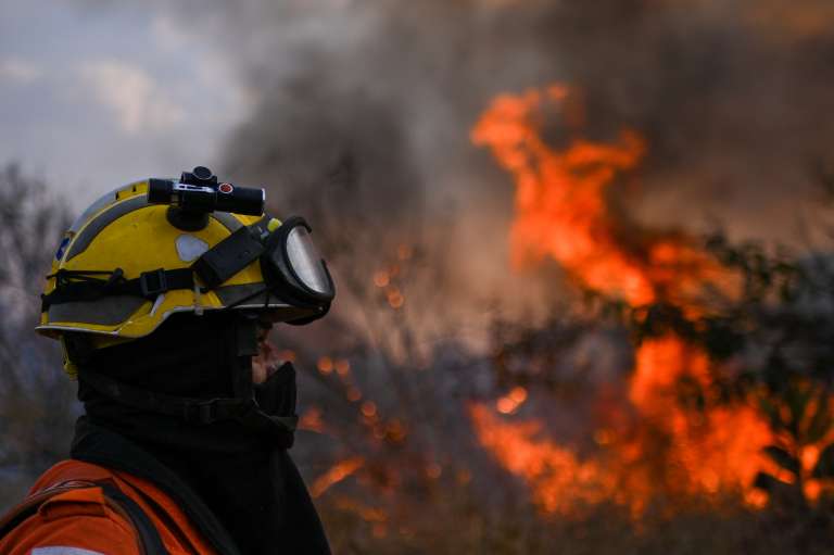 Desde entonces, brigadistas del Instituto Brasilia Ambiental (IBRAM) se han centrado en trabajar para extinguir los diversos puntos de calor. Uno de ellos se registró en el Parque Ecológico Burle Marx.