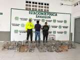 Rescatan 321 animales silvestres en Semana Santa: valían más de $270 millones
