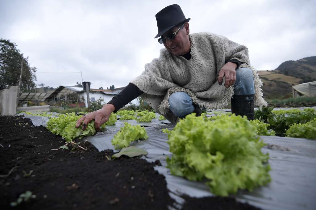 Campesino, líder desde hace más de 20 años de la vereda Chiguaza, en Usme.