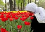 El secreto de los tulipanes rotos