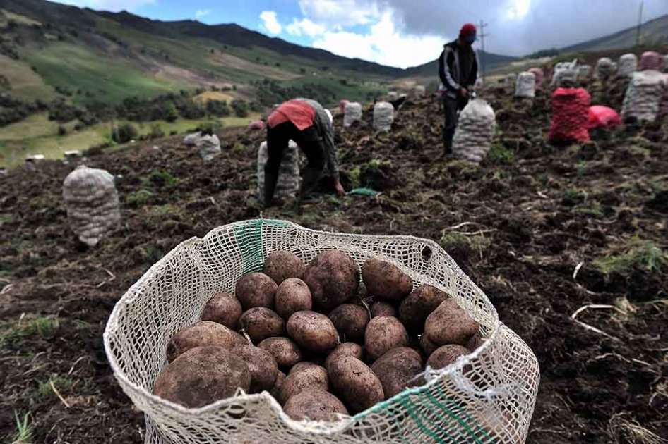 Presupuesto para el campo sería de $1,4 billones en 2016. / Archivo - El Espectador