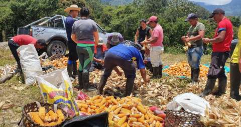 En zonas PDET, respaldo de la comunidad a la reincorporación de Farc llega al 80%