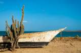 Histórica jornada de limpieza que transformó el Cabo de la Vela
