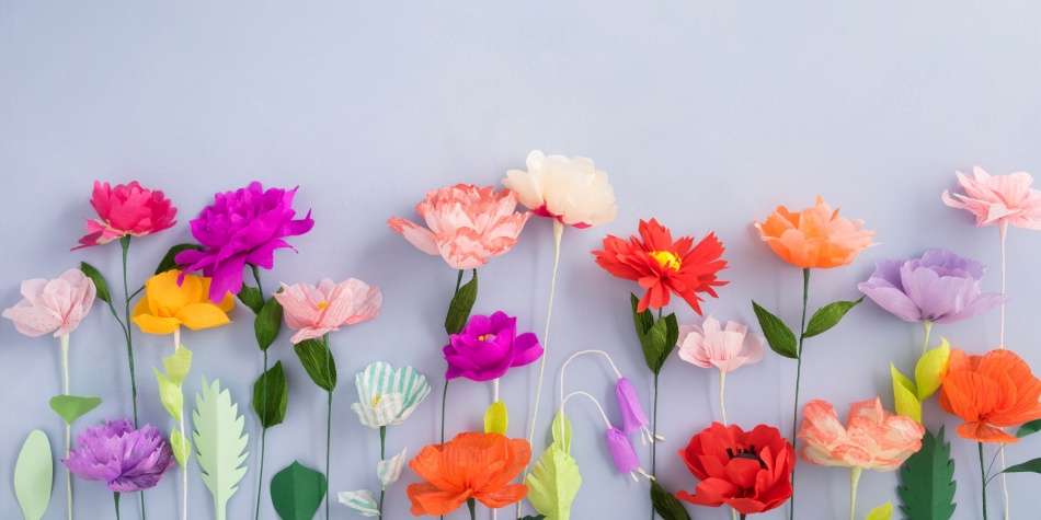 Aunque nadie lo crea, las flores tienen, efectivamente, un lenguaje maravilloso