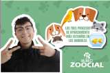 (VIDEO) Los tres procesos de apareamiento más extraños en animales, ¿los conocía?