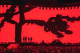 Se confirma concierto de U2 en Colombia
