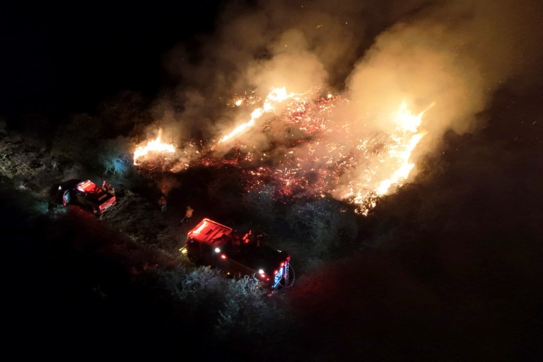 Récord de incendios en el Pantanal brasileño para el mes de junio
