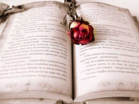 Cada 23 de abril se celebra en Cataluña el día de Sant Jordi, que se caracteriza por sus rosas y sus libros. / Cortesía