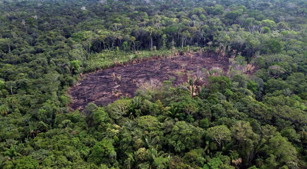 Indígenas Mura, en Brasil  y su lucha por proteger la Amazonia su territorio.