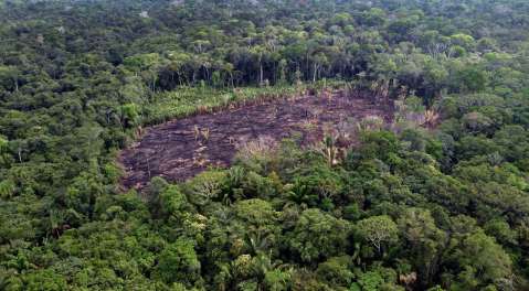 La deforestación en la Amazonía brasileña rompió su récord en abril