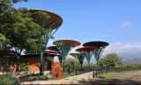 Abrirán fase 2 del Ecoparque de la Biodiversidad en Cali: así podrá ingresar