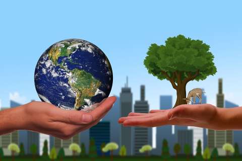 Abren convocatoria para que empresas reduzcan su impacto ambiental en Bogotá
