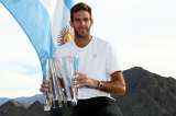 Del Potro y su resurgimiento de las cenizas