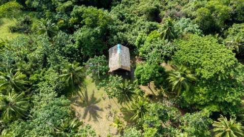 Jardín Botánico del Pacífico: conservación e investigación de biodiversidad
