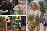 Bikini de lechuga "pro vegano"