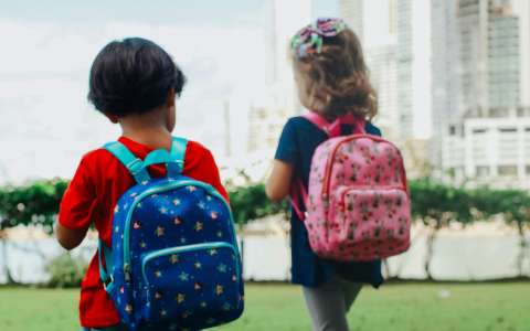 Cómo descargar el certificado de delitos sexuales exigido para trabajar con niños