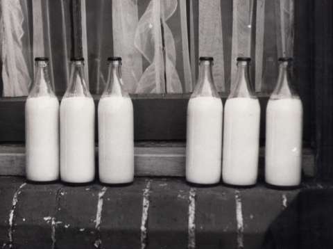 Alergia a las proteínas de la leche de vaca vs. intolerancia a la lactosa: hay diferencias