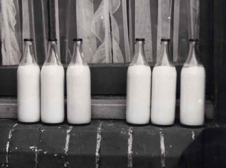 Alergia a las proteínas de la leche de vaca vs. intolerancia a la lactosa: hay diferencias