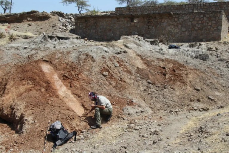 Una especie humana extinta se adoptó a condiciones climáticas extremas hace un millón de años