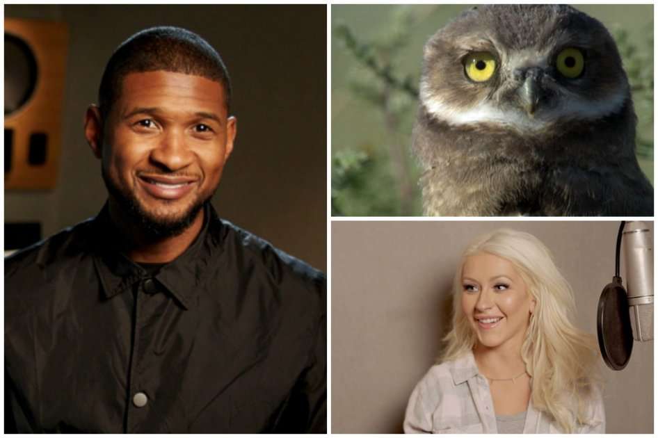 "Hello World!" se estrena en Animal Planet a partir del 22 de octubre a las 9 de la noche.