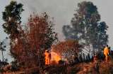 Se presenta incendio en el occidente de Cali