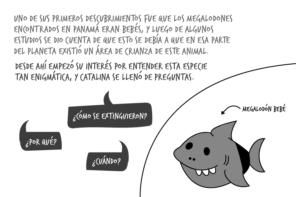 Catalina pimiento megalodón