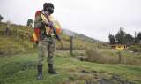 Sumapaz, entre el conflicto armado y el crimen organizado