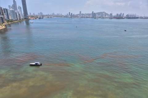 ¿Qué provocó la mancha cobriza que apareció en el mar de Cartagena?