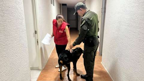 Salvan a Prometeo, el perrito que vivía atado y expuesto en un balcón