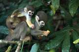 Un recorrido por la biodiversidad