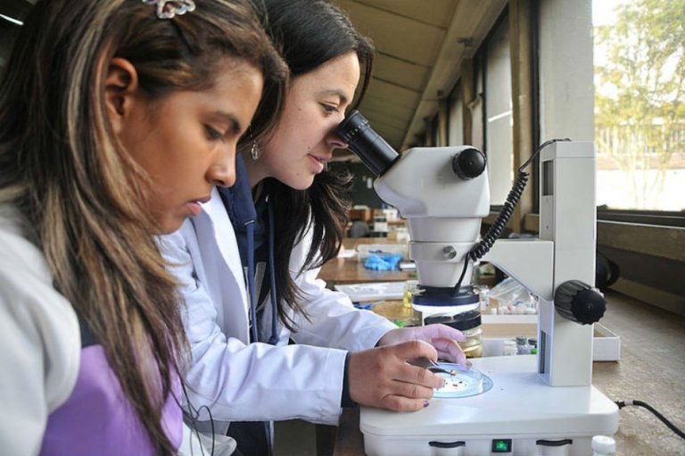 Universidad Nacional, la mejor del país en investigación