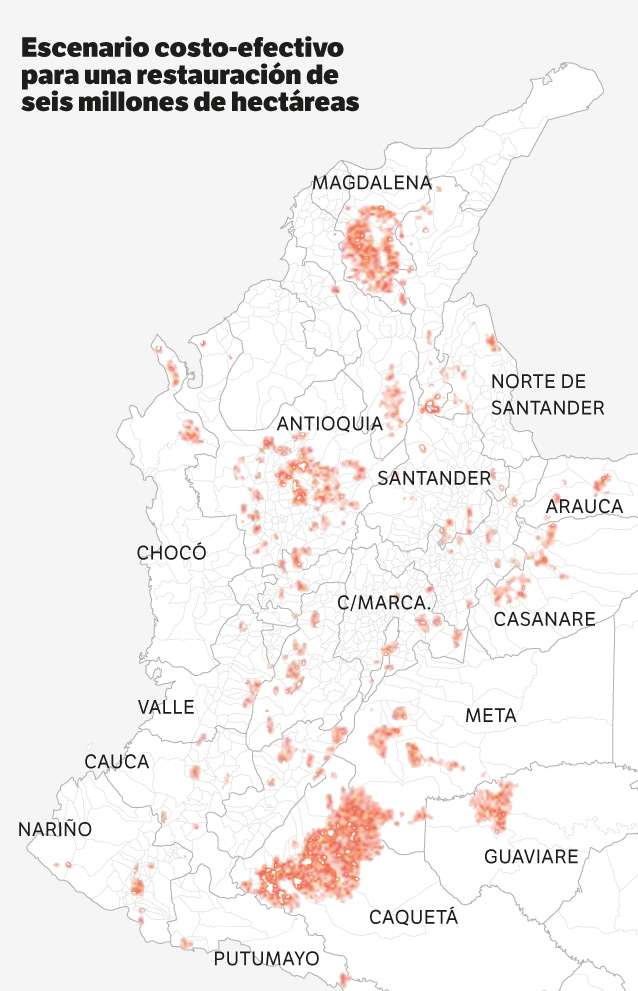 El Mapa de Restauración de Colombia, que será presentado hoy, “identifica las áreas prioritarias para la restauración, teniendo un balance entre los beneficios de conservación de biodiversidad, la mitigación del cambio climático y el costo de estas acciones para su implementación”. Crédito: Jonathan Bejarano con información del Instituto Humboldt