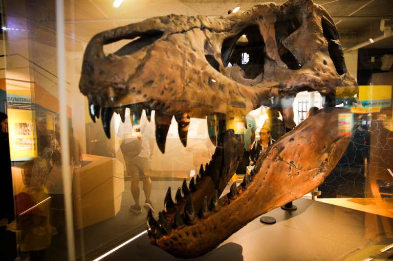 Museum of Science