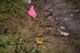 Encontraron tres cuerpos en el municipio de Almaguer, en Valle del Cauca