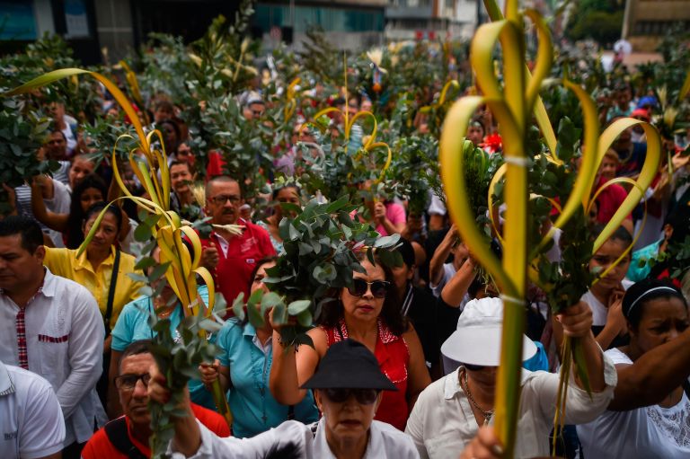 El Domingo de Ramos, Colombia hace un llamado a preservar la palma de cera