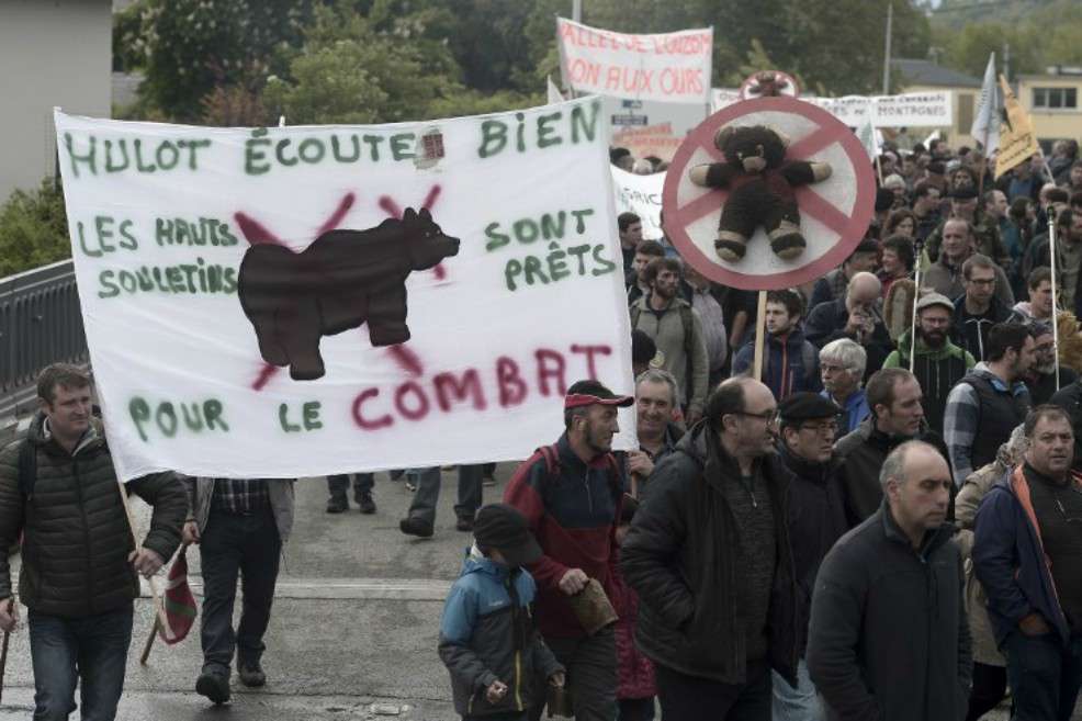 Pastores participan en una manifestación contra la liberación de osos en los Pirineos el 30 de abril de 2018 en Pau, en el suroeste de Francia. / AFP