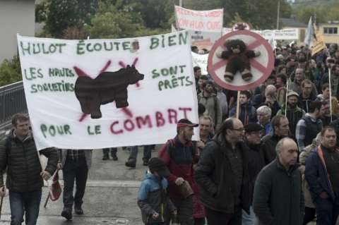 Protestas en el sur de Francia por un programa para reintroducir osos