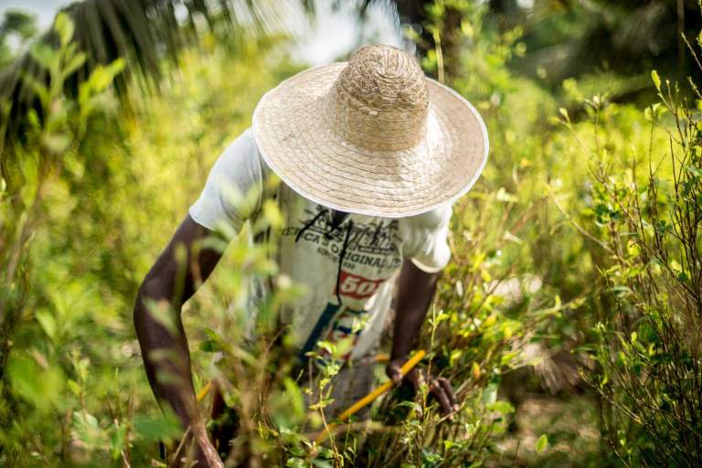 Caso 002  en la JEP busca esclarecer victimizaciones contra indígenas y afros de Tumaco